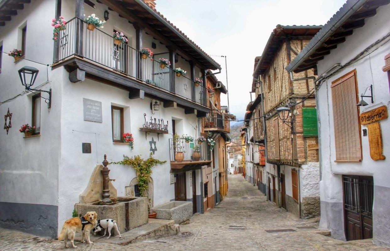 Casa Rural Exedra 3 Estrellas Carcaboso 외부 사진