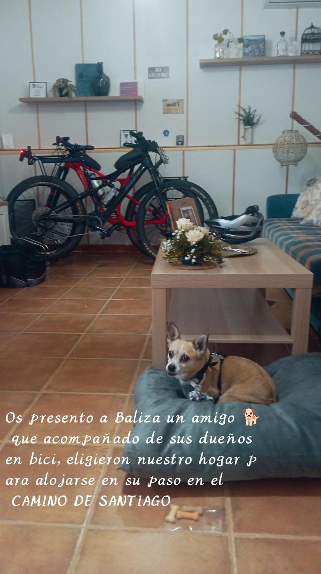 Casa Rural Exedra 3 Estrellas Carcaboso 외부 사진